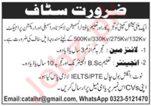 Multinational company jobs